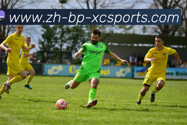 杏彩体育APP 封面图